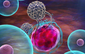 Picture for category HORMONE & IMMUNOLOGY    