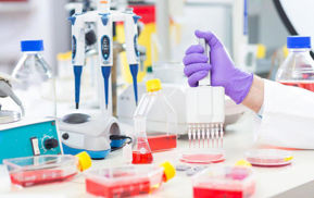 Picture for category CONSUMABLES   